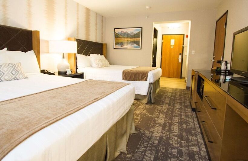 Номер Стандарт 2 Двуспальные Кровати, Best Western Holiday Hills