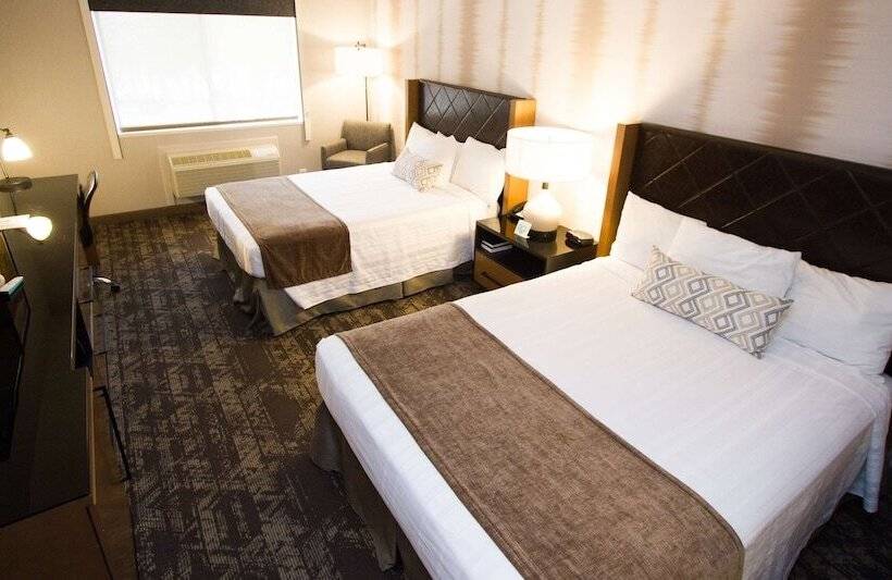 Номер Стандарт 2 Двуспальные Кровати, Best Western Holiday Hills