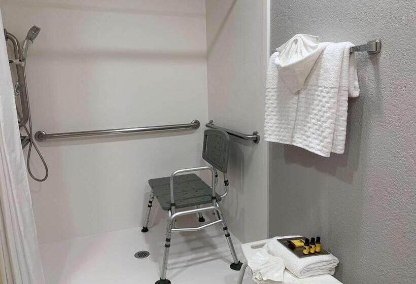 Номер Стандарт Кровать Кинг Адаптированный для Инвалидов, Best Western Plus Oklahoma City Yukon
