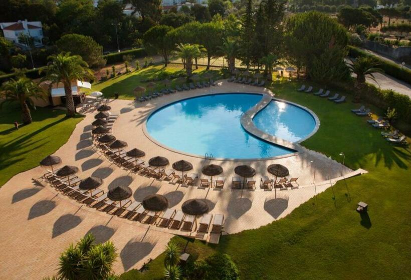اتاق استاندارد با تخت بزرگ, Evora