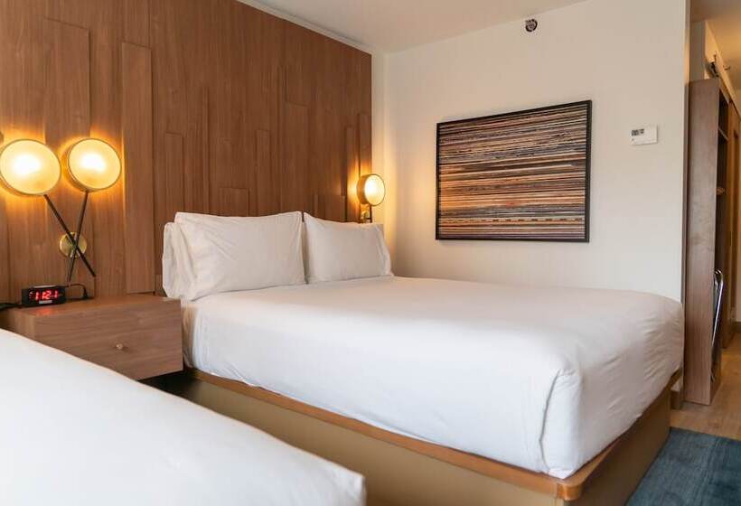 스탠다드 룸, Indigo Detroit Downtown, An Ihg