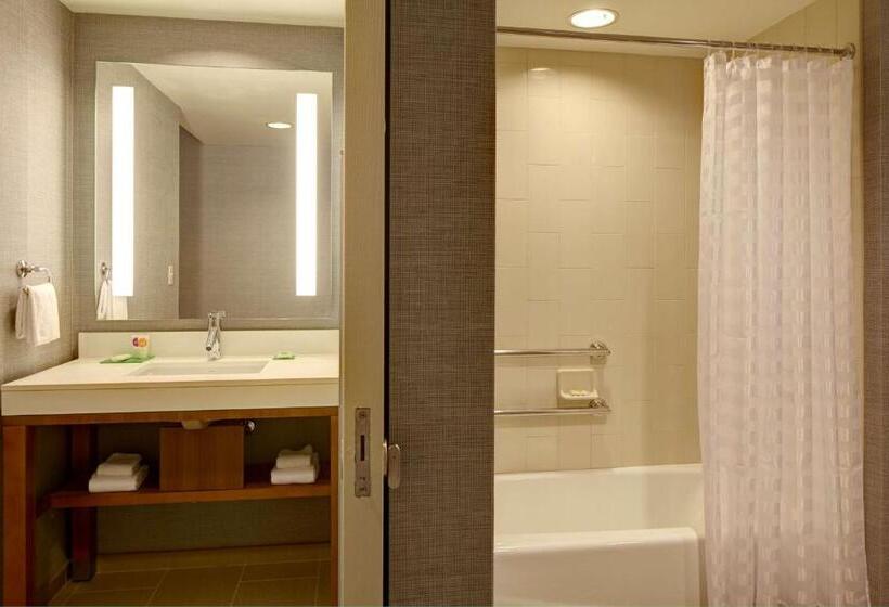 Номер Стандарт Кровать Кинг Адаптированный для Инвалидов, Hyatt Place Melbourne   Palm Bay   I 95