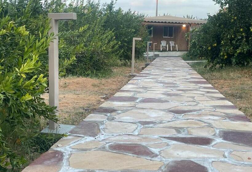 اتاق استاندارد با چشم‌انداز باغ, Naseem Country House