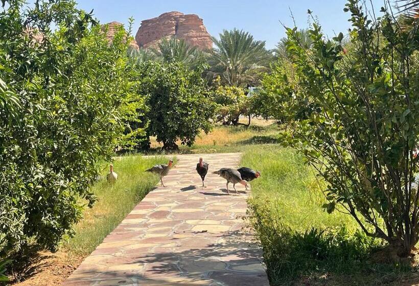 اتاق استاندارد, Naseem Country House