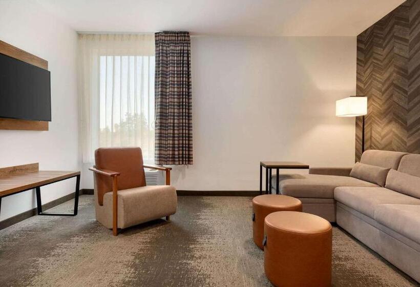 Люкс Executive Кровать Кинг, La Quinta Inn & Suites By Wyndham Santa Rosa Sonoma