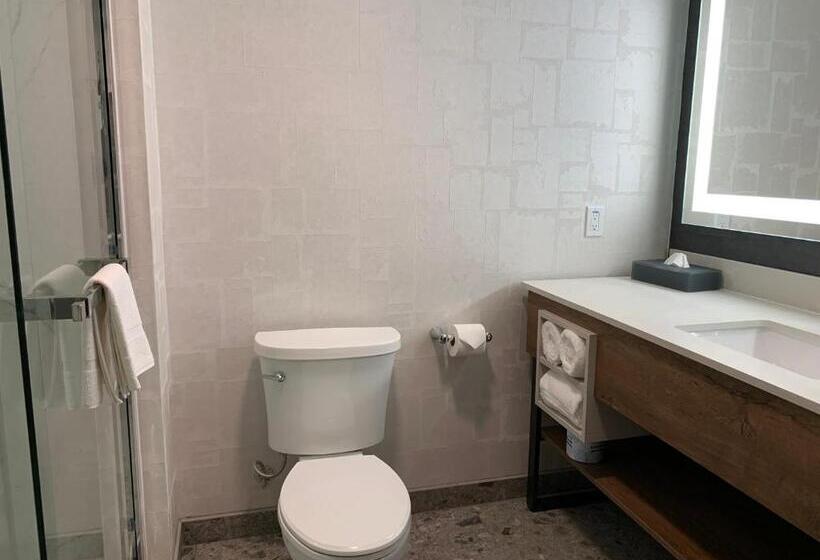 Стандартный Номер Кровать Кинг, La Quinta Inn & Suites By Wyndham Santa Rosa Sonoma