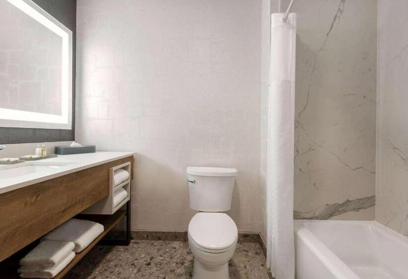 Люкс Адаптированный для Инвалидов, La Quinta Inn & Suites By Wyndham Santa Rosa Sonoma