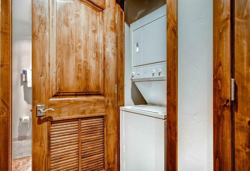 آپارتمان 1 خوابه, Breckenridge Luxury Ski In, Ski Out Condos