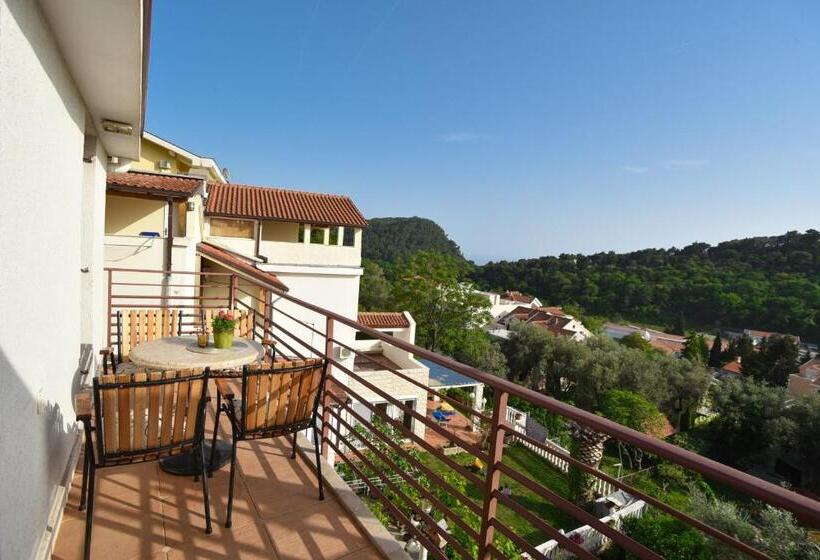 آپارتمان 1 خوابه با چشم‌انداز دریا, Guest House Jedro