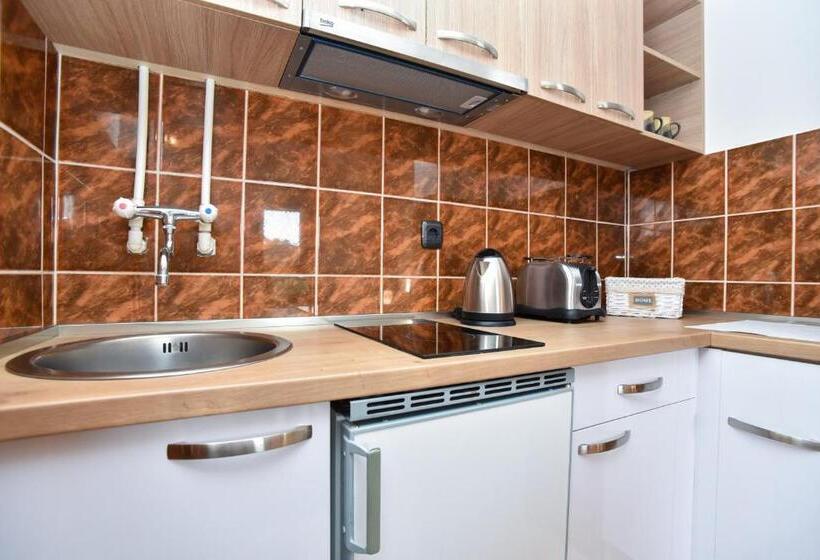 آپارتمان 1 خوابه با چشم‌انداز دریا, Guest House Jedro