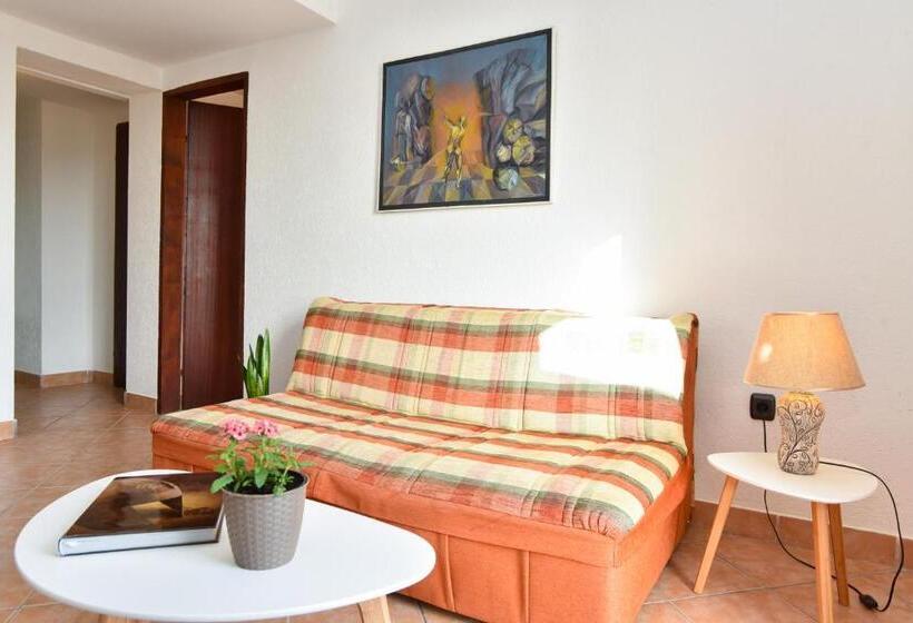 آپارتمان 1 خوابه با چشم‌انداز دریا, Guest House Jedro
