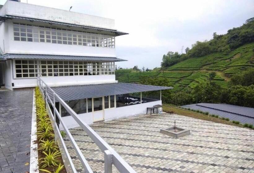 Люкс Повышенной Комфортности, Tabor Hills Resort Vagamon
