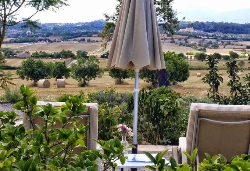 Апартаменты 2 Спальни, Agroturismo Sa Rota D  En Palerm