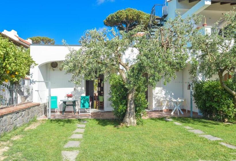 Escritório Estándar, Appartamenti Ischia La Sentinella
