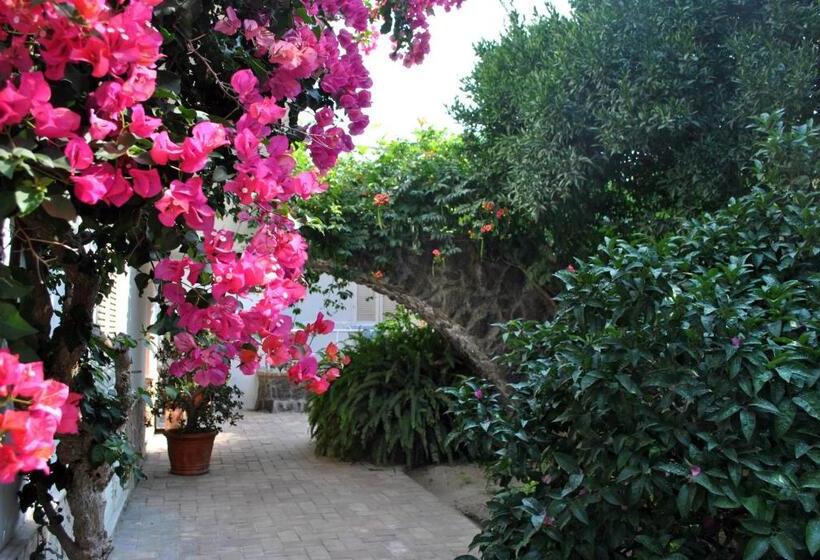 Apartamento 2 Dormitórios, Appartamenti Ischia La Sentinella