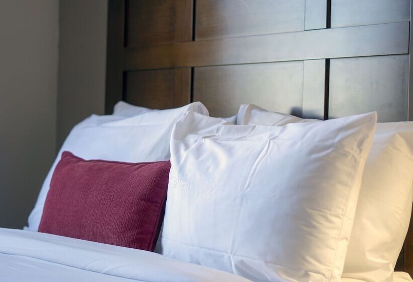 带2个双人床的标准工作室, Quality Inn & Suites