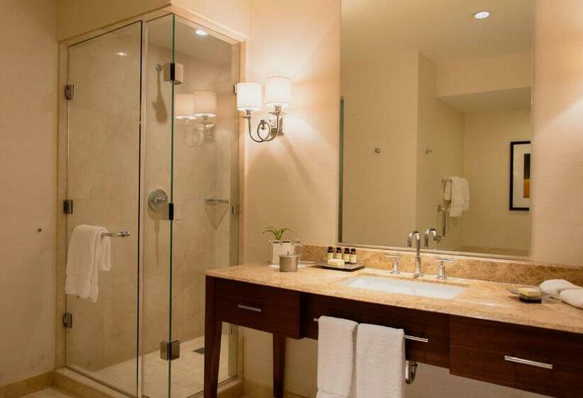 Номер Executive, Bristol Panama, A Registry Collection
