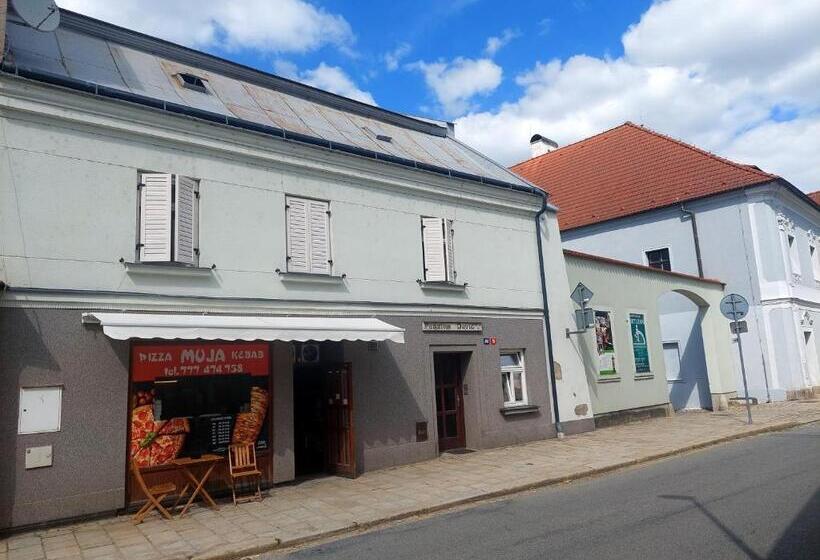 Апартаменты 1 Спальня, Penzion David