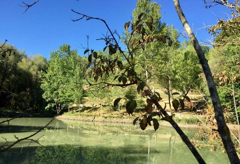 带1个卧室的公寓, Agriturismo San Gregorio