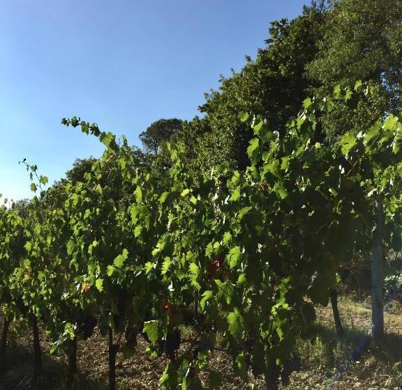 带1个卧室的公寓, Agriturismo San Gregorio