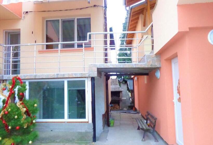 اتاق لوکس, Vibo Guesthouse