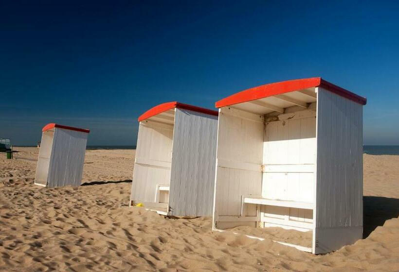 آپارتمان 1 خوابه, Steeds Aan Zee