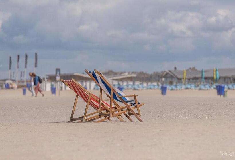 استودیوی لوکس, Steeds Aan Zee