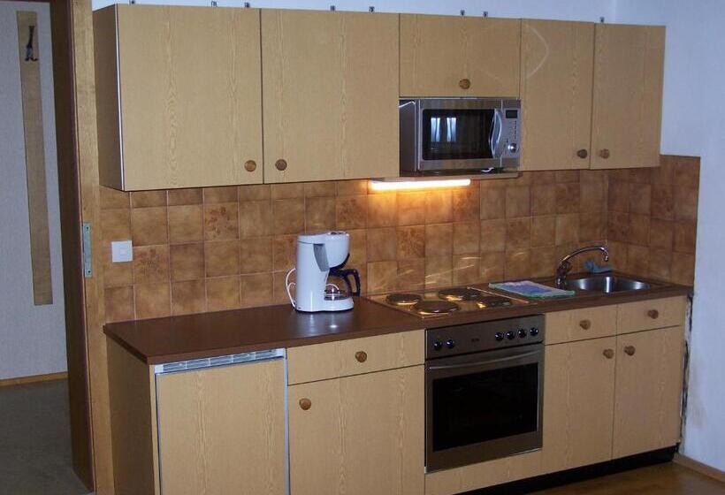 Апартаменты 1 Спальня, Ferienwohnung Ski Hans