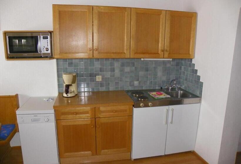 Апартаменты 2 Спальни, Ferienwohnung Ski Hans