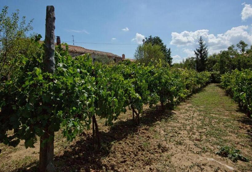 Полулюкс Вид на Озеро, Agriturismo Podere Acqualoreto
