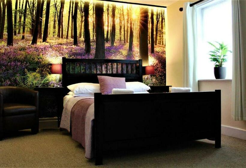 Номер Стандарт, The Dove Inn