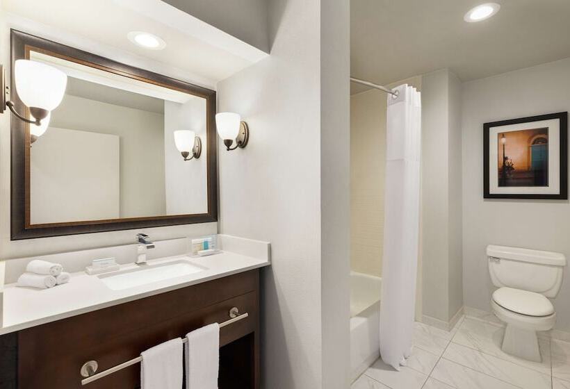 Студио Стандарт Кровать Кинг, Hampton Inn & Suites New Orleansconvention Center