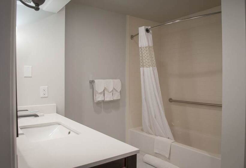 Люкс Адаптированный для Инвалидов, Hampton Inn & Suites New Orleansconvention Center