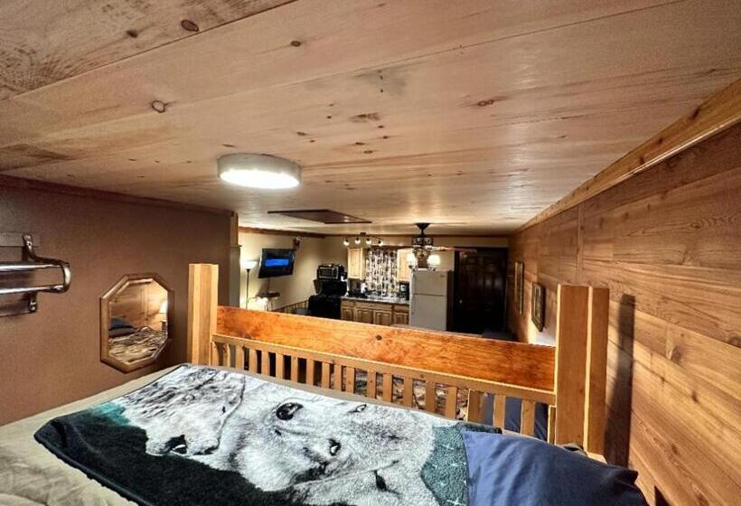 Студия Стандарт, Best Bear Lodge