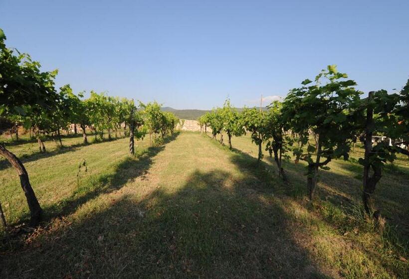 １ベッドルームアパートメント, Agriturismo Scorgiano