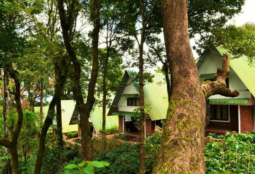 Трехместный Номер Deluxe, Misty Woods Resort