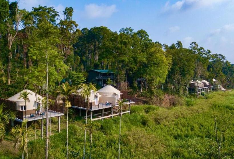 Standard Tent, Machaan Wilderness Lodge Nagarahole