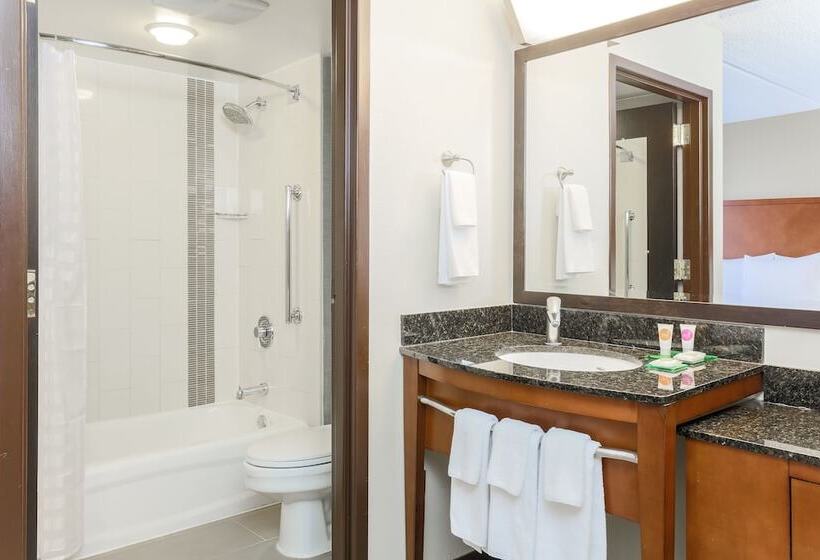 ダブルベッドスタンダードルーム, Hyatt Place Dallas/grapevine