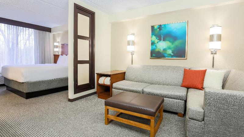 キングサイズベッドのスタンダードルーム, Hyatt Place Dallas/grapevine