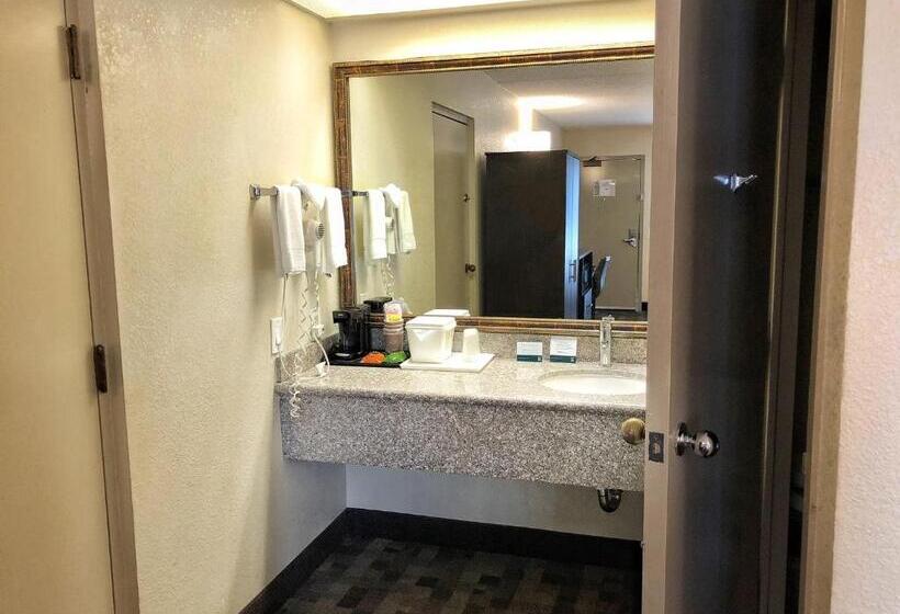 스탠다드 룸 킹사이즈 침대, Quality Inn Riverside Near Ucr And Downtown