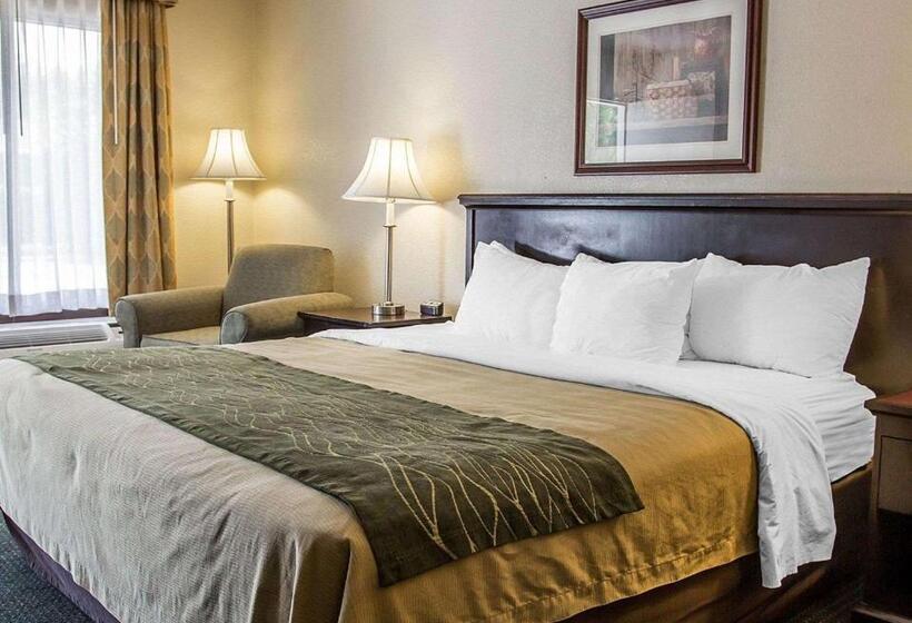스탠다드 룸 킹사이즈 침대, Quality Inn Riverside Near Ucr And Downtown