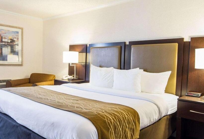 חדר סטנדרט עם מיטת קינג, Comfort Inn Oceanside Deerfield Beach