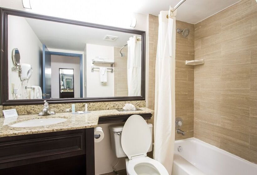 غرفه قياسيه سريرين مزدوجين, Comfort Inn Oceanside Deerfield Beach
