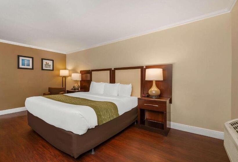 חדר סטנדרט עם מיטת קינג, Comfort Inn Oceanside Deerfield Beach