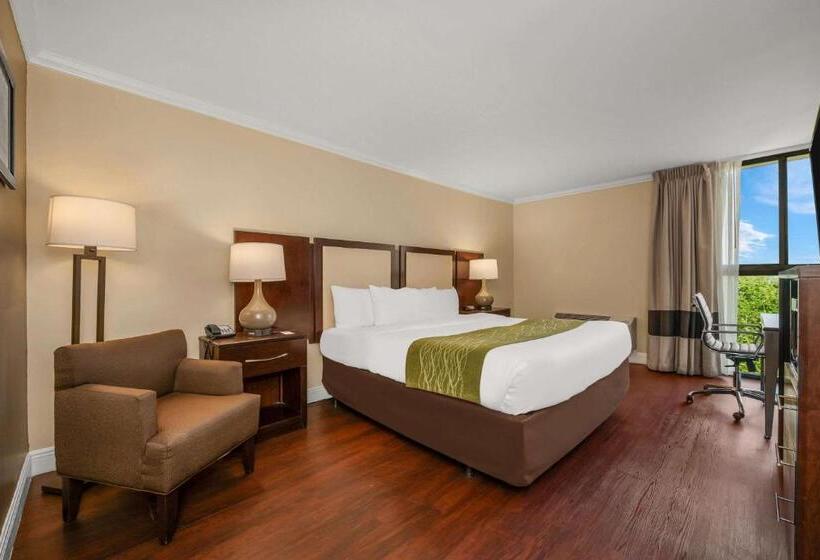 غرفة قياسية سرير كينج, Comfort Inn Oceanside Deerfield Beach