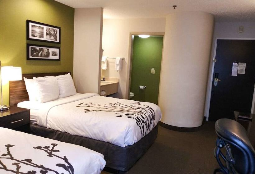 스탠다드 룸 더블 침대 2개, Sleep Inn & Suites