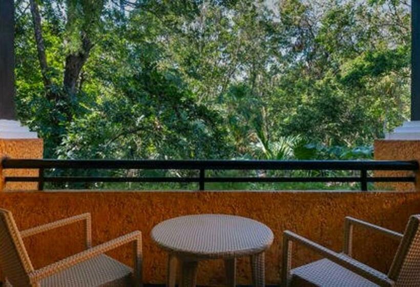 Economy Zimmer, Iberostar Waves Quetzal