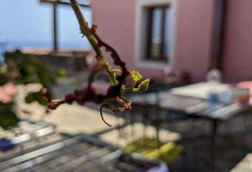 스탠다드 룸 바다 전망, Horizon Pantelleria