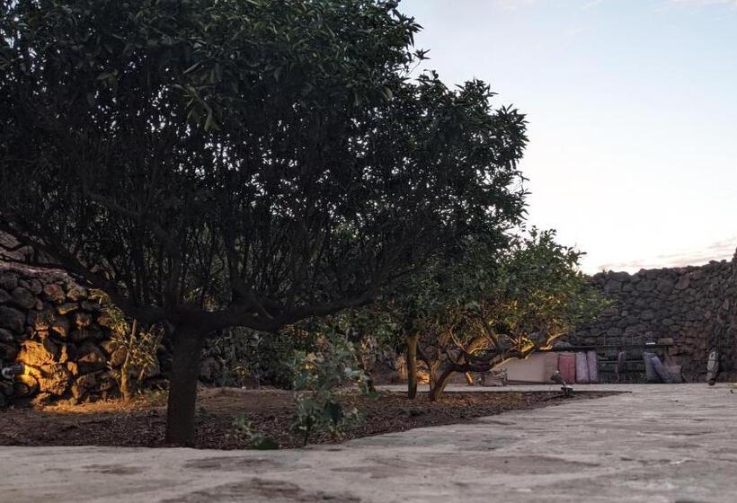 스탠다드 룸, Horizon Pantelleria
