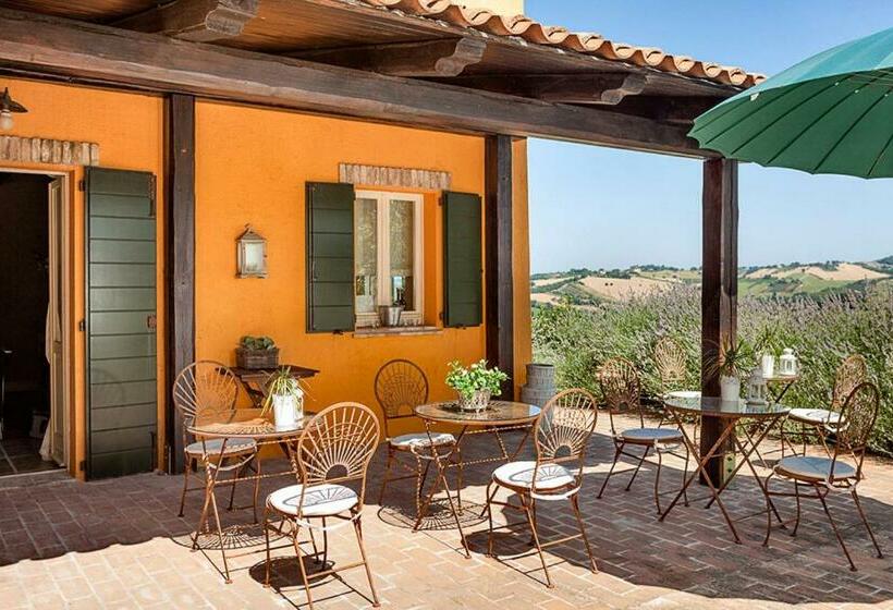 اتاق استاندارد, Country House Il Sassòne